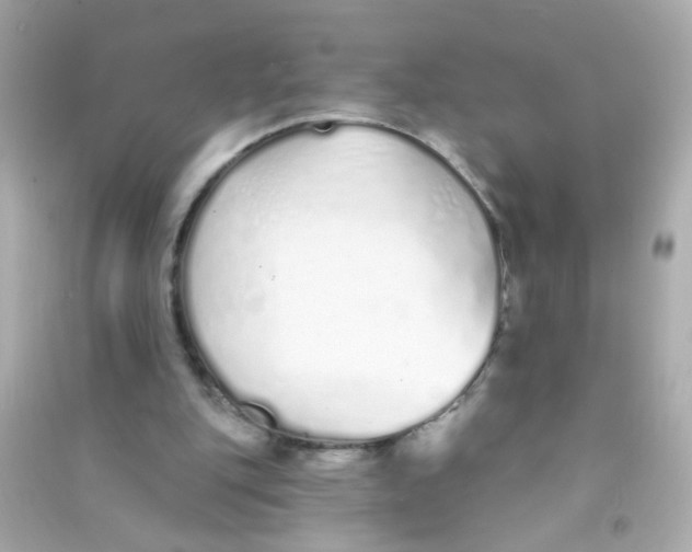 X0000090500151200708102248
