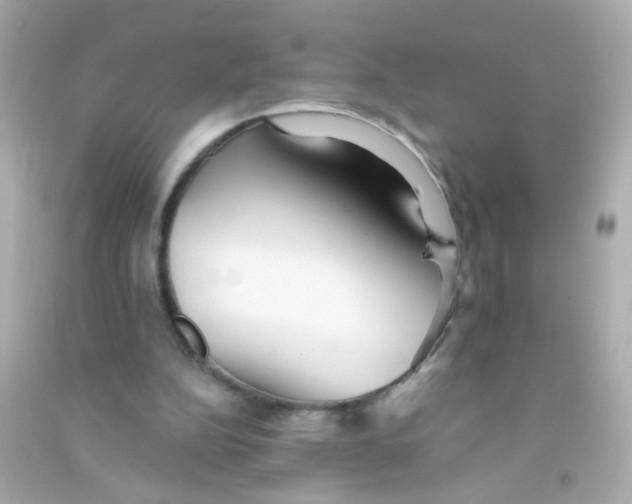 X0000090500152200708102248