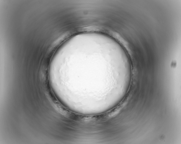 X0000090500153200708102248