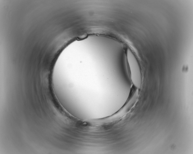X0000090500154200708102248