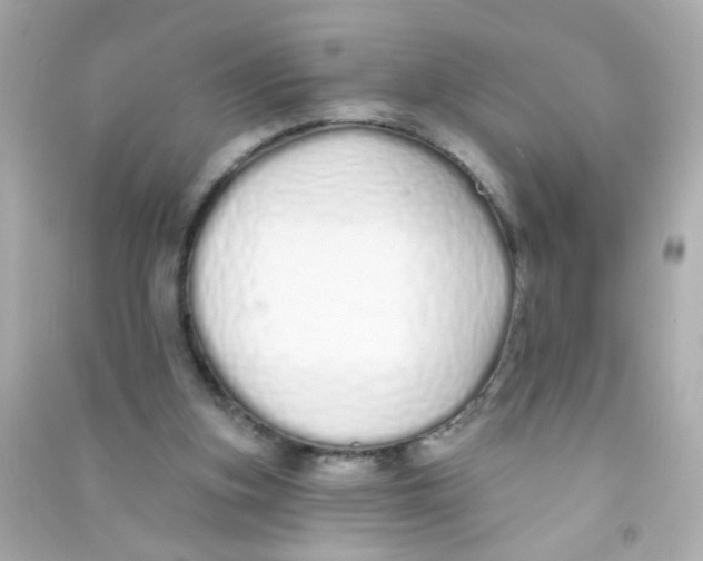 X0000090500155200708102248