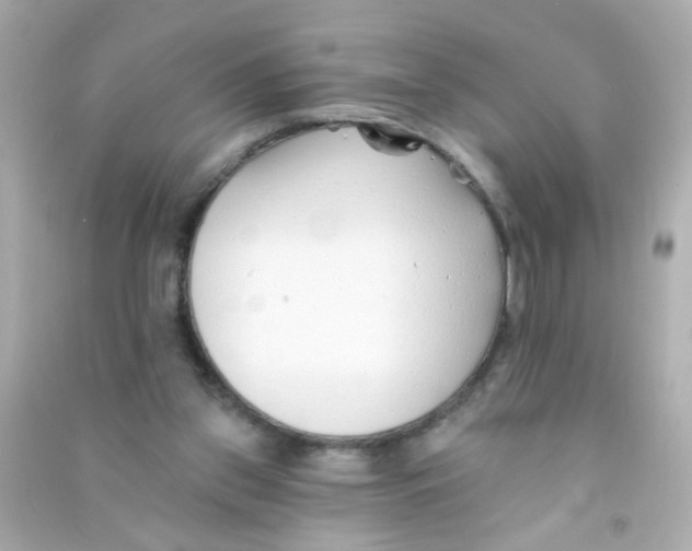 X0000090500157200708102248