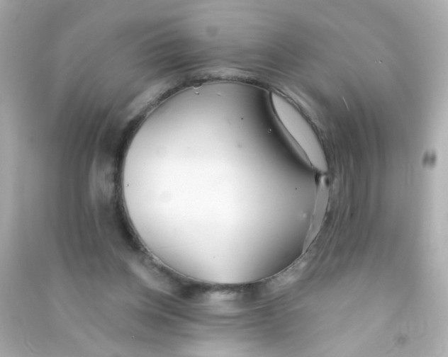 X0000090500158200708102248