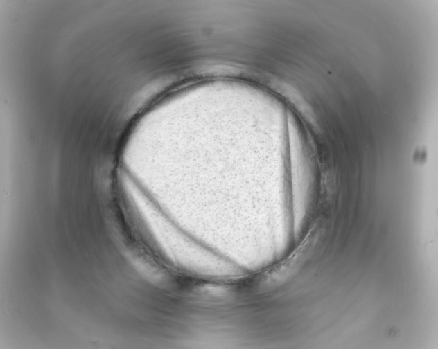 X0000090500159200708102248