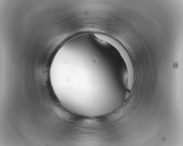 X0000090500160200708102248