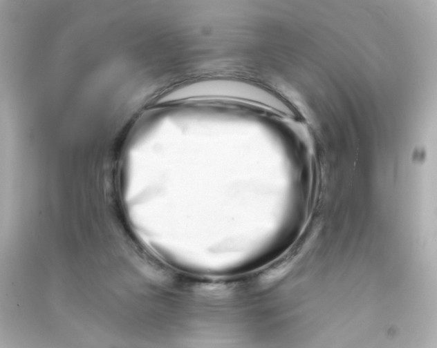 X0000090500161200708102248