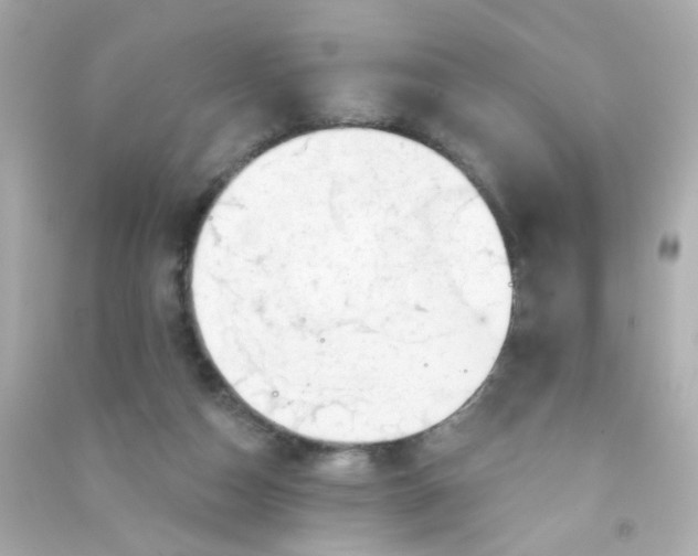 X0000090500162200708102248