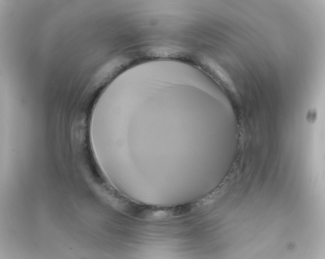 X0000090500163200708102248