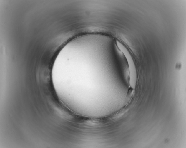X0000090500164200708102248