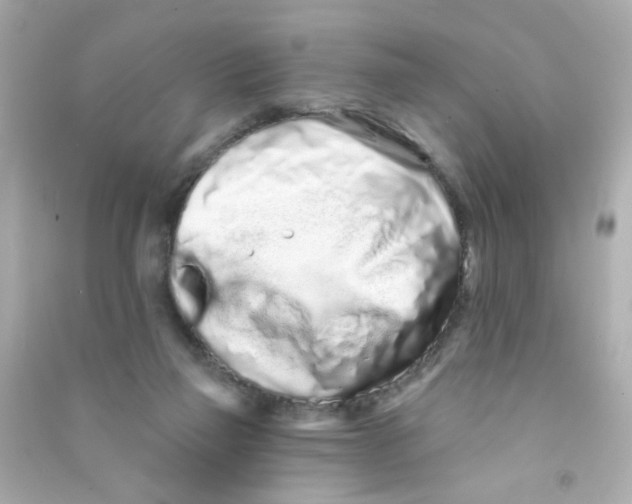 X0000090500165200708102248