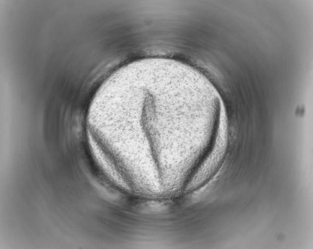 X0000090500166200708102248