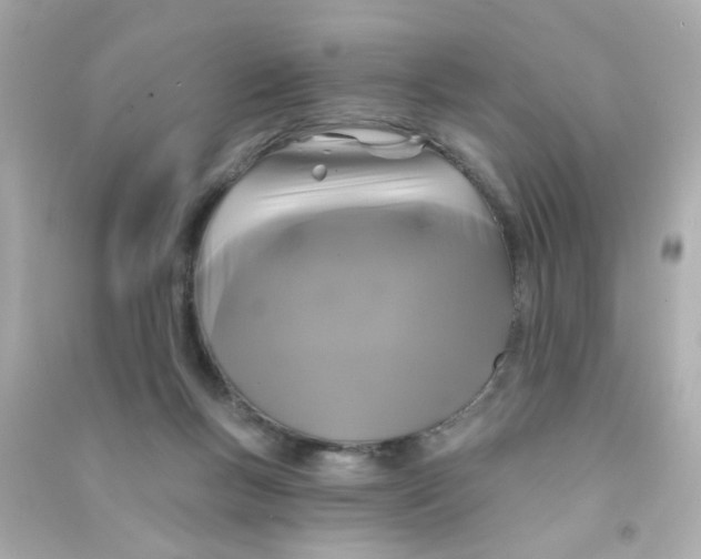 X0000090500167200708102248
