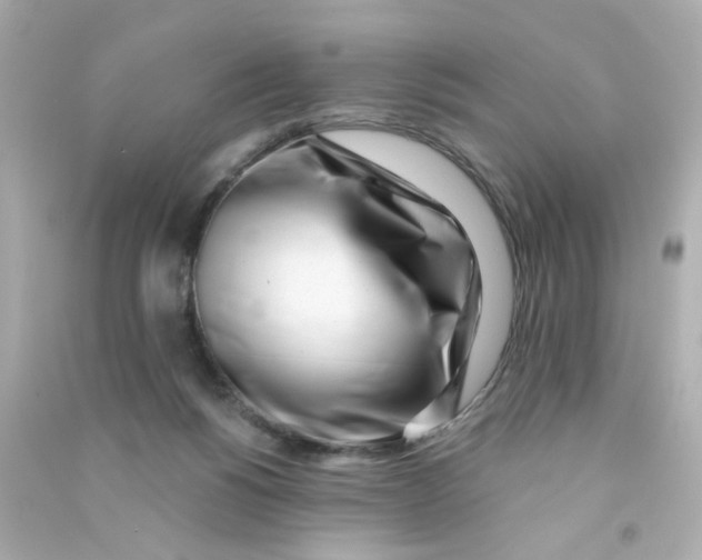 X0000090500168200708102249
