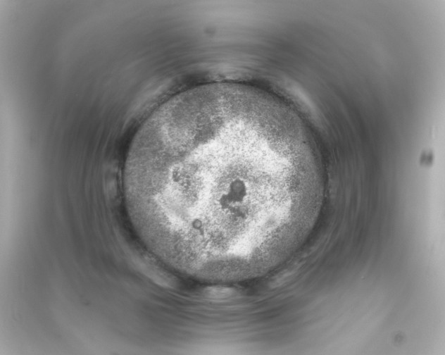 X0000090500169200708102249