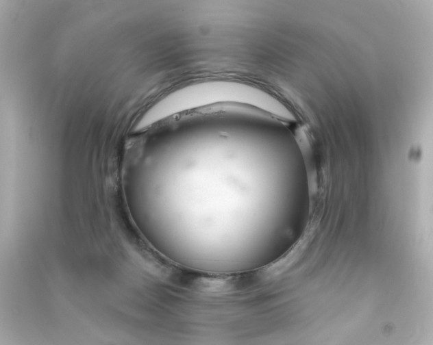 X0000090500170200708102249