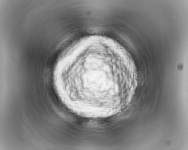 X0000090500171200708102249