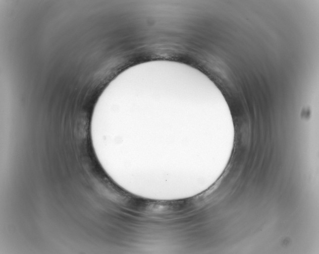 X0000090500174200708102249