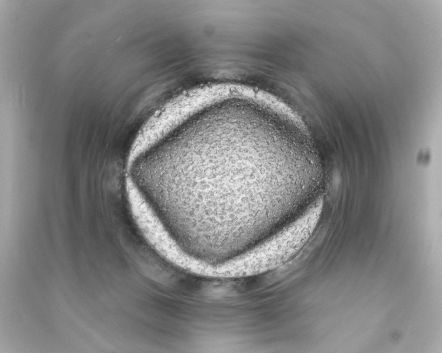 X0000090500175200708102249