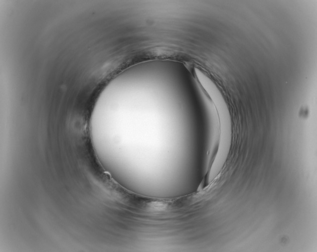 X0000090500176200708102249