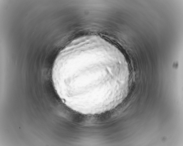 X0000090500177200708102249