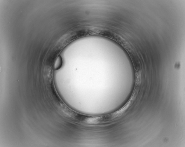 X0000090500178200708102249