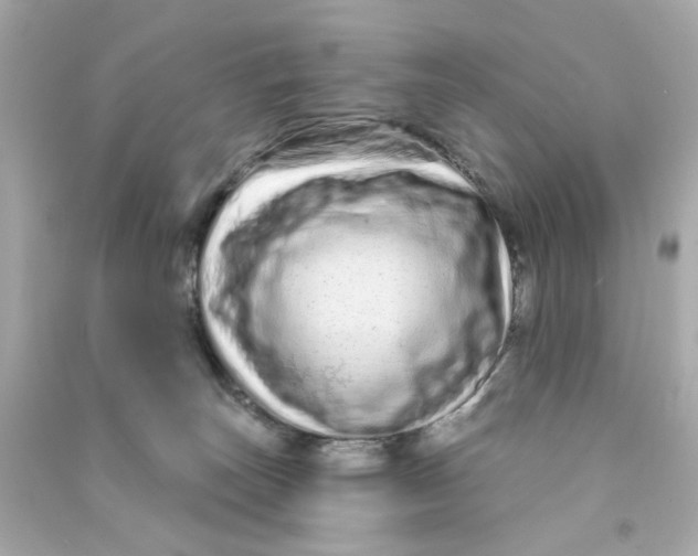 X0000090500179200708102249