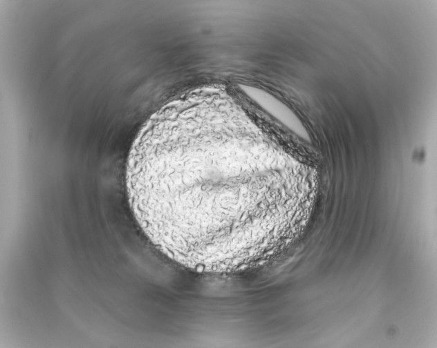 X0000090500181200708102249