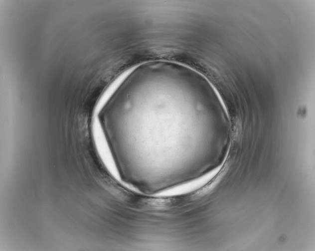 X0000090500182200708102249