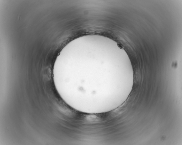 X0000090500183200708102249