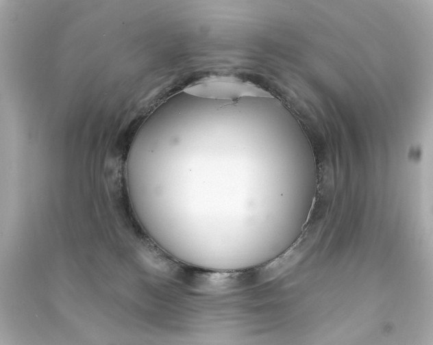 X0000090500184200708102249