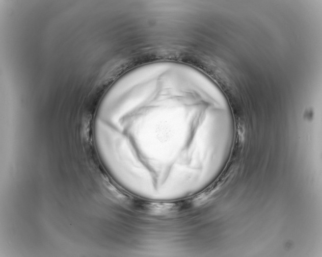 X0000090500185200708102249
