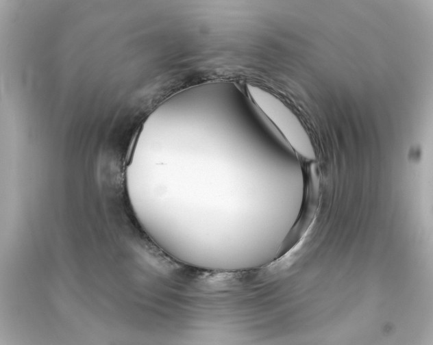 X0000090500186200708102249