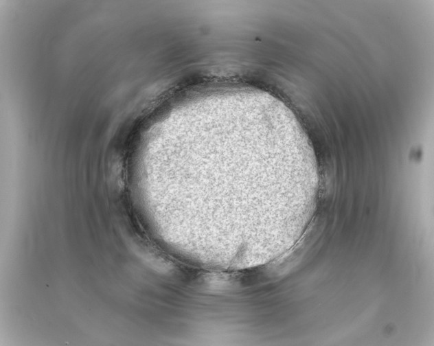 X0000090500187200708102249
