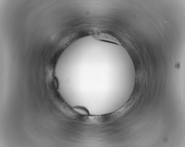 X0000090500188200708102249