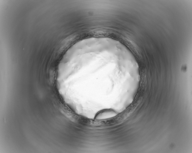 X0000090500189200708102249