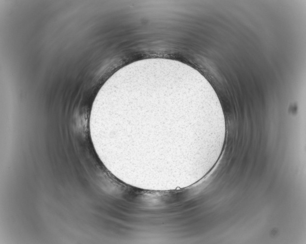 X0000090500190200708102249