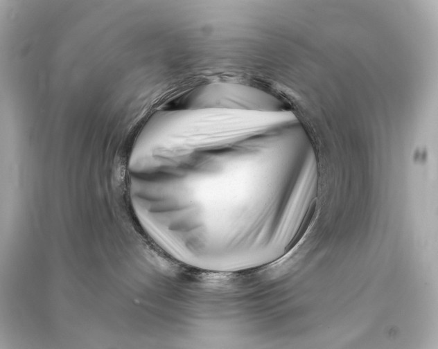 X0000090500192200708102249