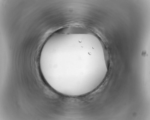 X0000090500193200708102248