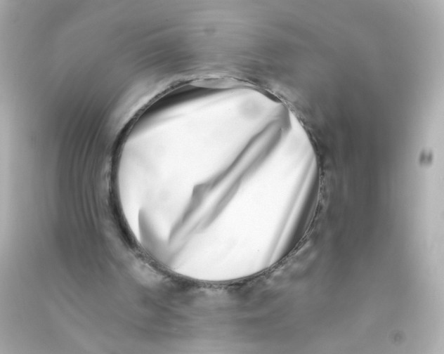 X0000090500194200708102248