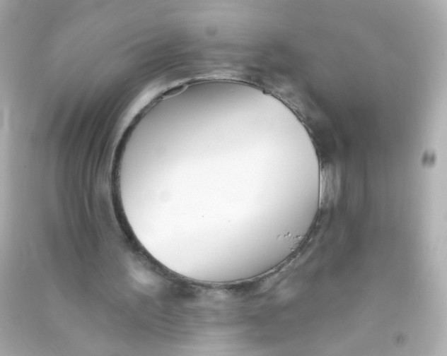 X0000090500195200708102248