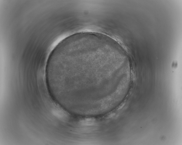 X0000090500196200708102248