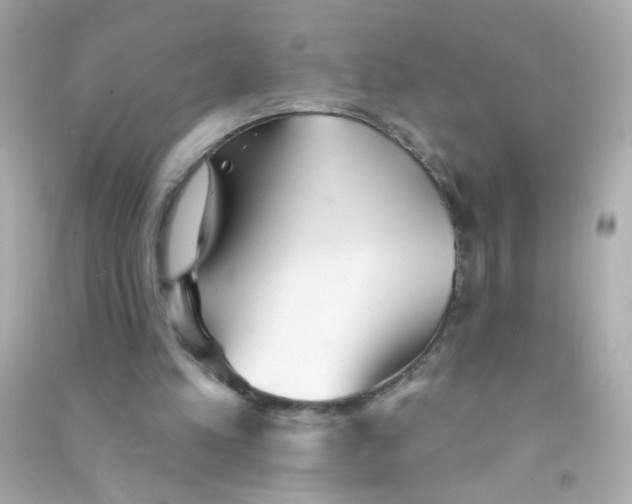 X0000090500197200708102248