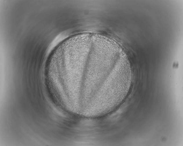 X0000090500198200708102248