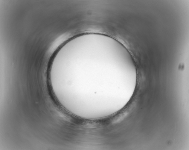 X0000090500199200708102248