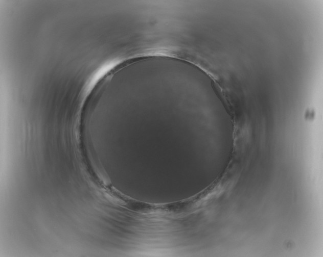 X0000090500200200708102248