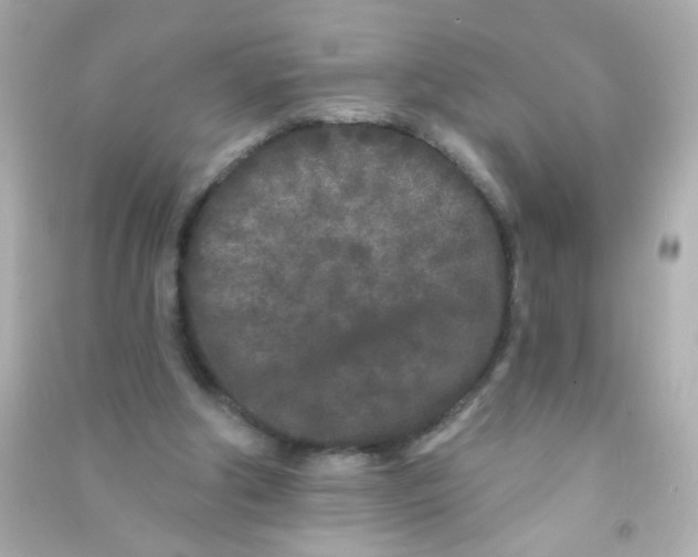 X0000090500202200708102248