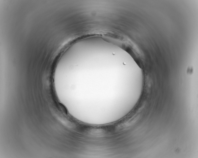 X0000090500203200708102248