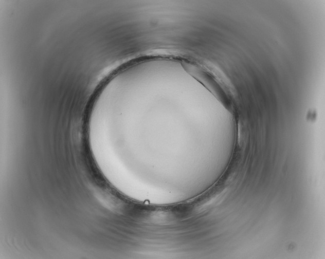 X0000090500204200708102248