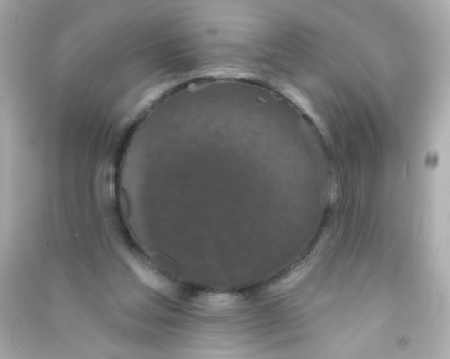 X0000090500205200708102248