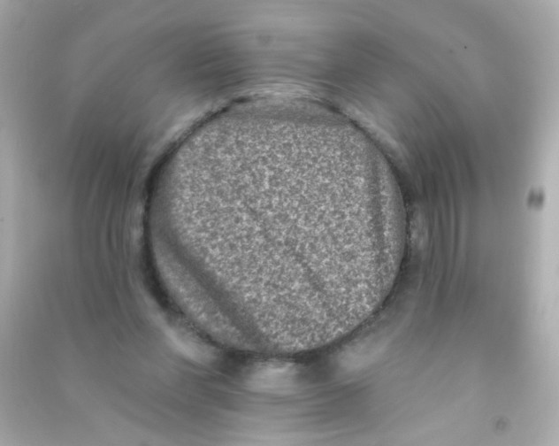 X0000090500206200708102248
